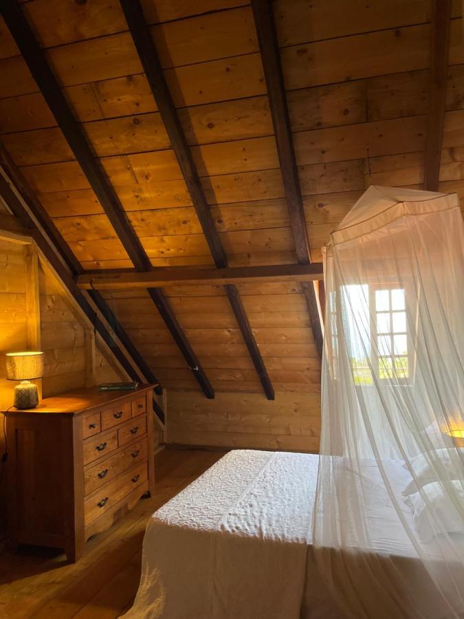 Habitation La Reine Du Camp Chambres D'Hotes แซงต์-โคลด ภายนอก รูปภาพ
